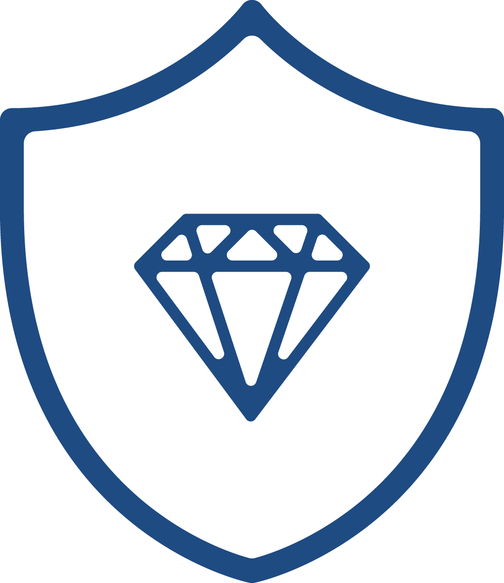 Premium Coverage Icon